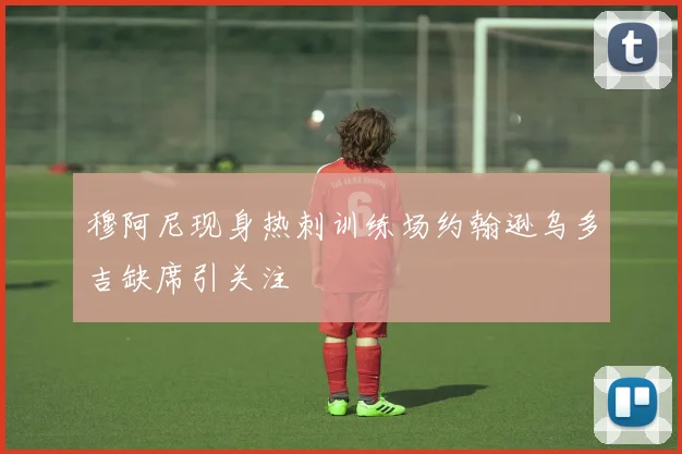 穆阿尼现身热刺训练场约翰逊乌多吉缺席引关注