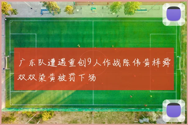 广东队遭遇重创9人作战陈伟黄梓舜双双染黄被罚下场