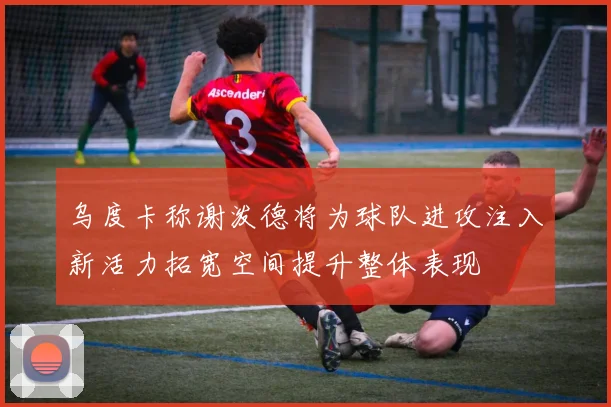 乌度卡称谢泼德将为球队进攻注入新活力拓宽空间提升整体表现